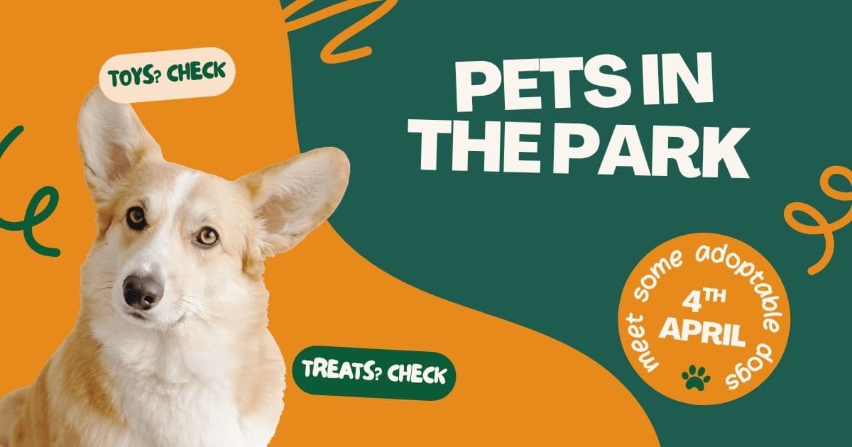 Pets in the Park